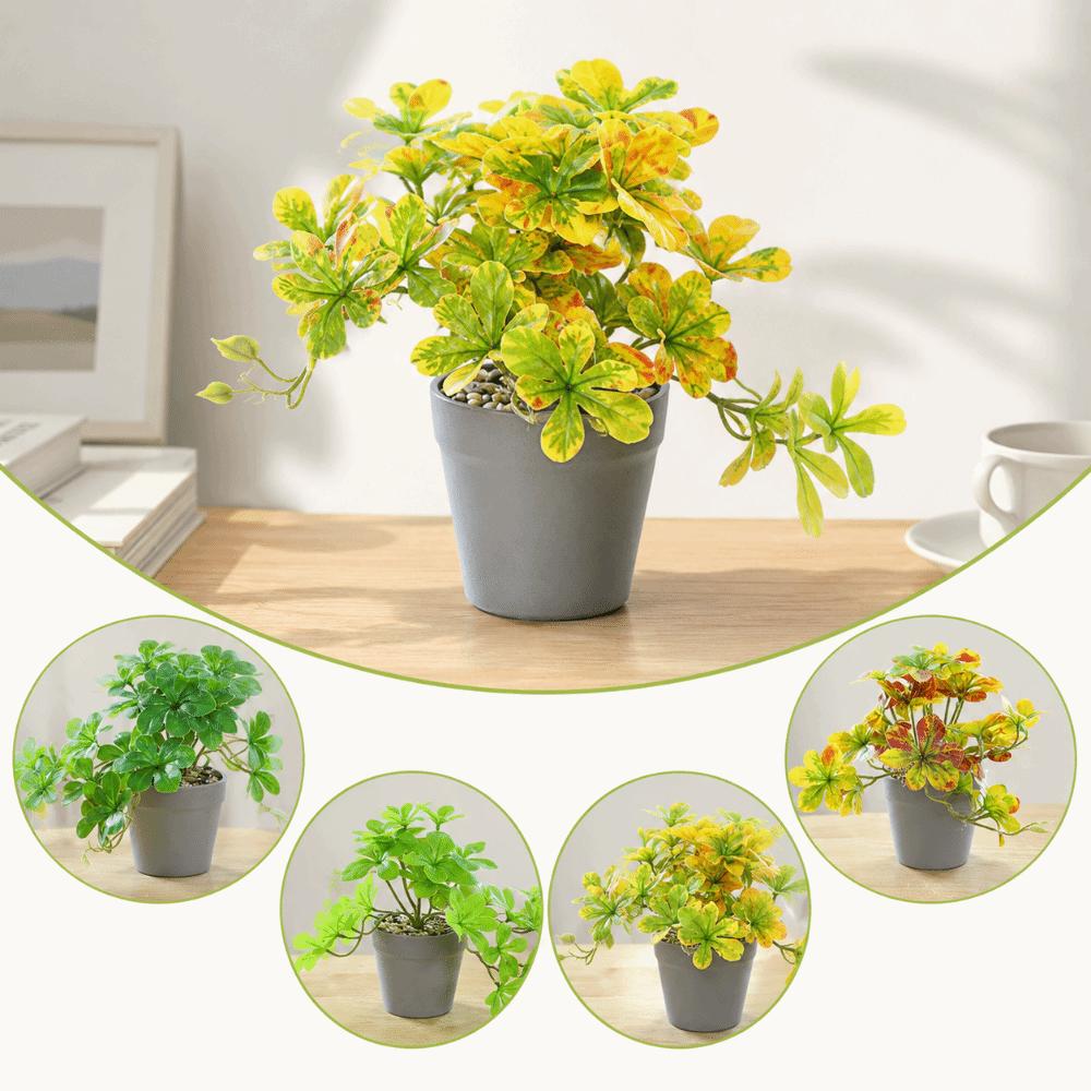 盆栽 人工盆栽植物 人工スパイダープランツ フェイクプランツ - Spider Plant Hanging のレビューと価格
