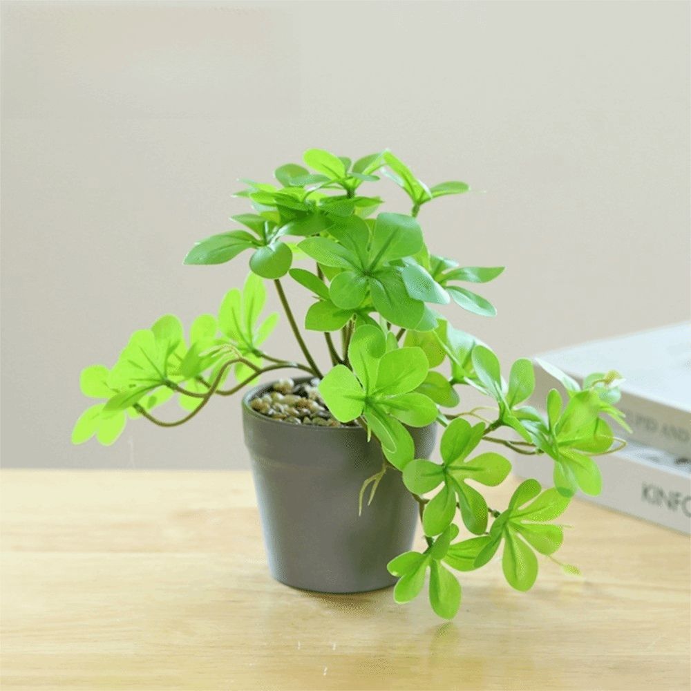 盆栽 人工盆栽植物 人工スパイダープランツ フェイクプランツ - Spider Plant Hanging のレビューと価格