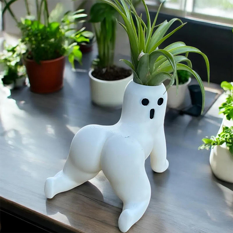 面白い大きな戦利品ゴーストプランター大きな戦利品エアプラント - Echeveria Succulent のレビューと価格