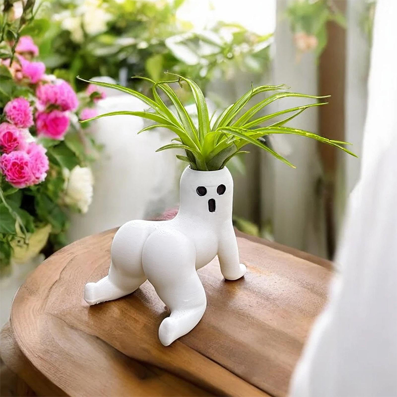 面白い大きな戦利品ゴーストプランター大きな戦利品エアプラント - Echeveria Succulent のレビューと価格