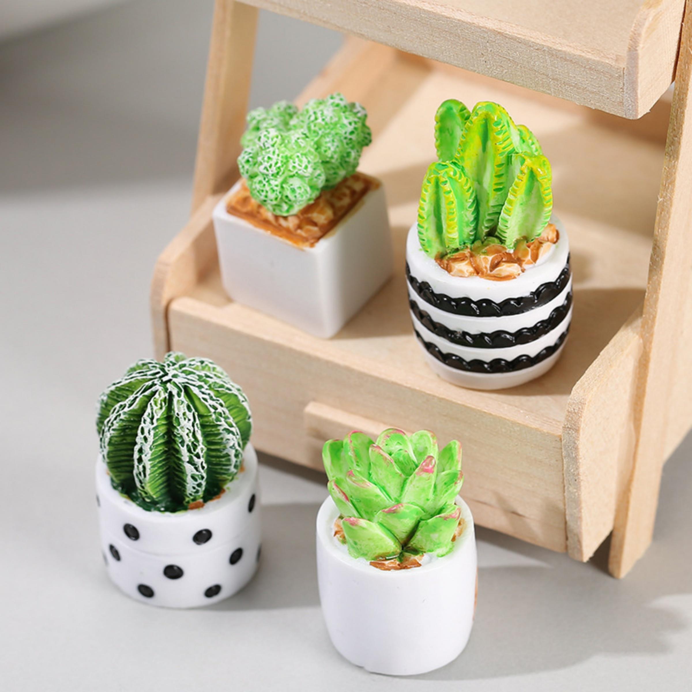 サボテン多肉植物の鉢植え4点セット、フェアリーガーデンアクセ - Echeveria Succulent のレビューと価格