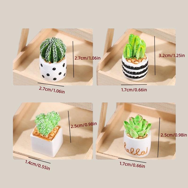 サボテン多肉植物の鉢植え4点セット、フェアリーガーデンアクセ - Echeveria Succulent のレビューと価格