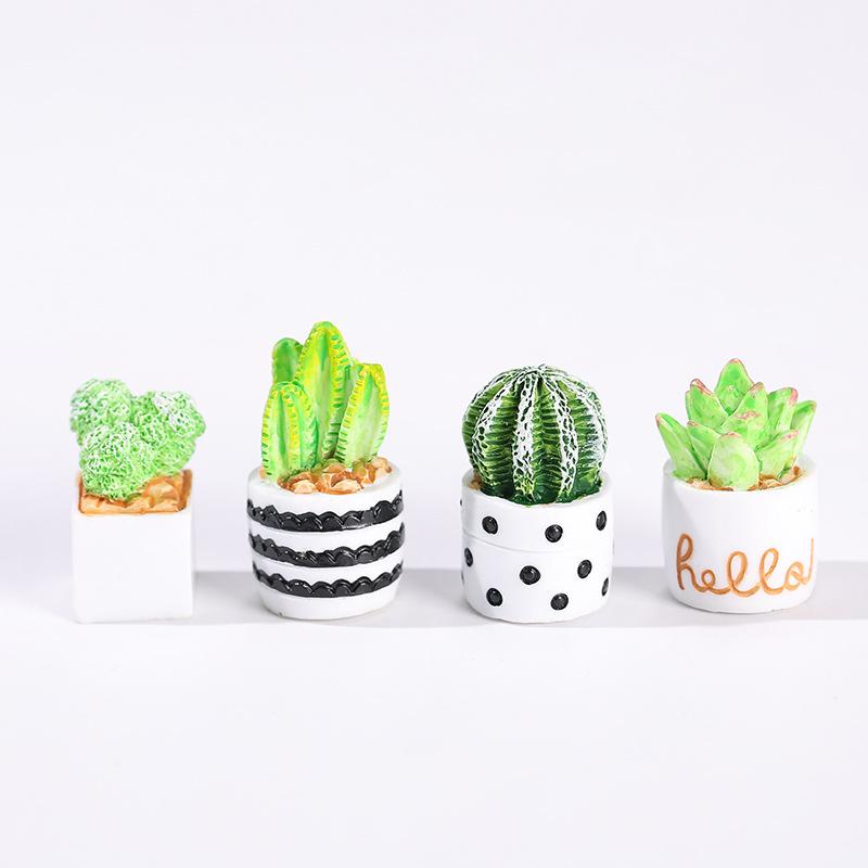 サボテン多肉植物の鉢植え4点セット、フェアリーガーデンアクセ - Echeveria Succulent のレビューと価格